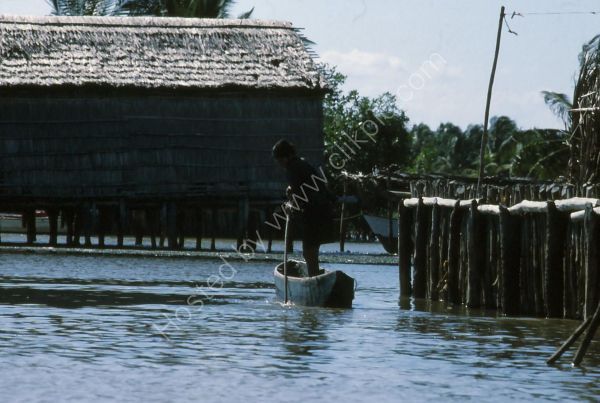 Boatman in Dug Out, Sinamaica